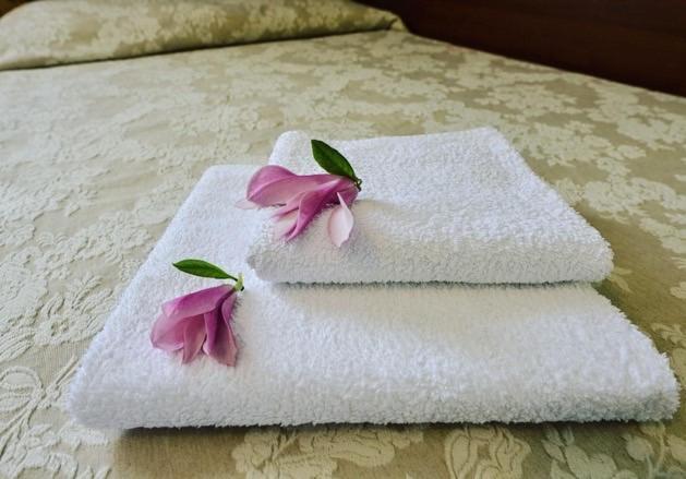 Hotel Mateo Stopnica 外观 照片